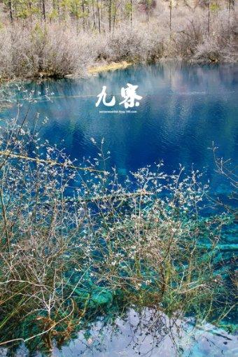 野外生存游戏
